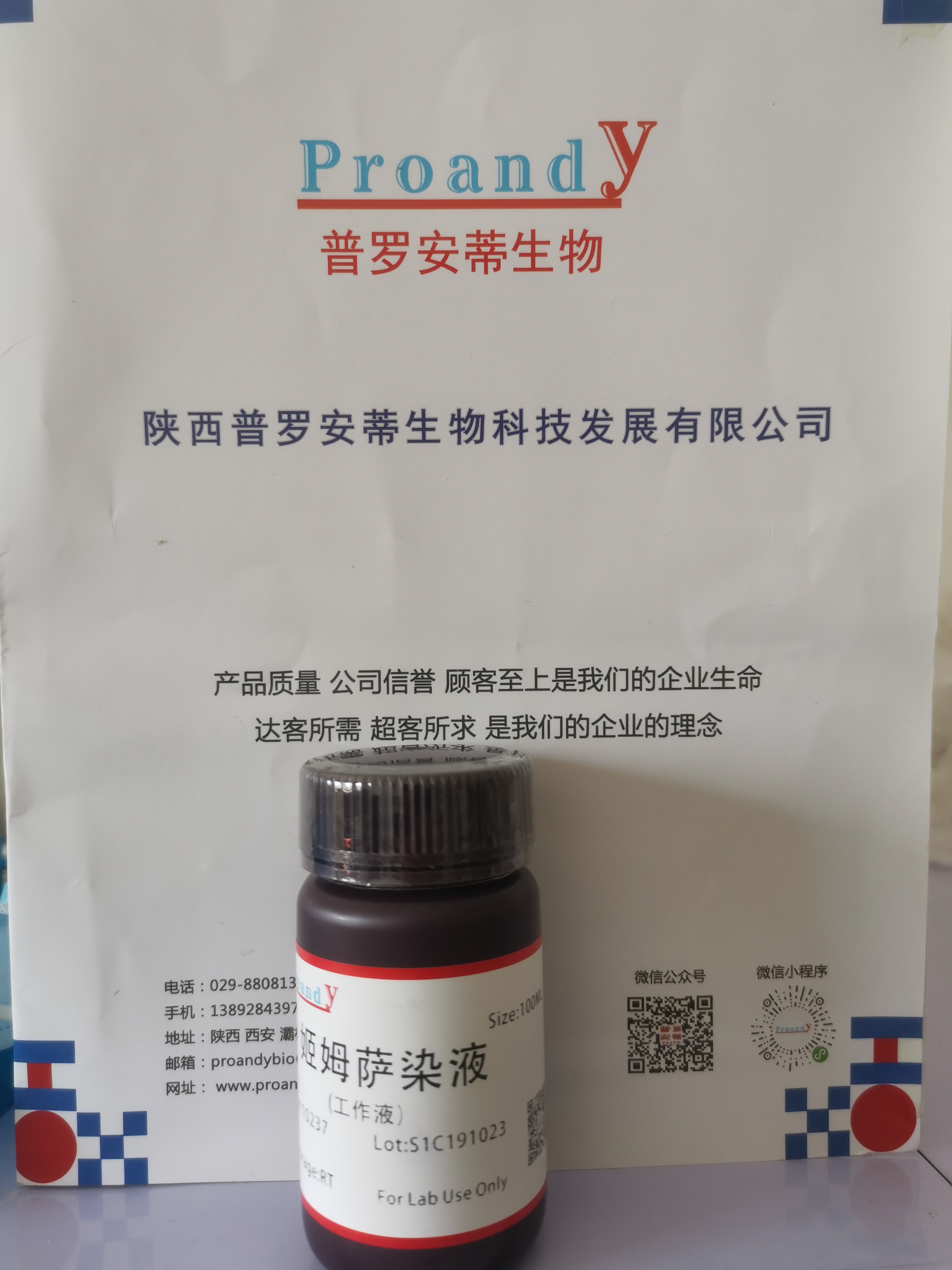 姬姆薩染液.jpg