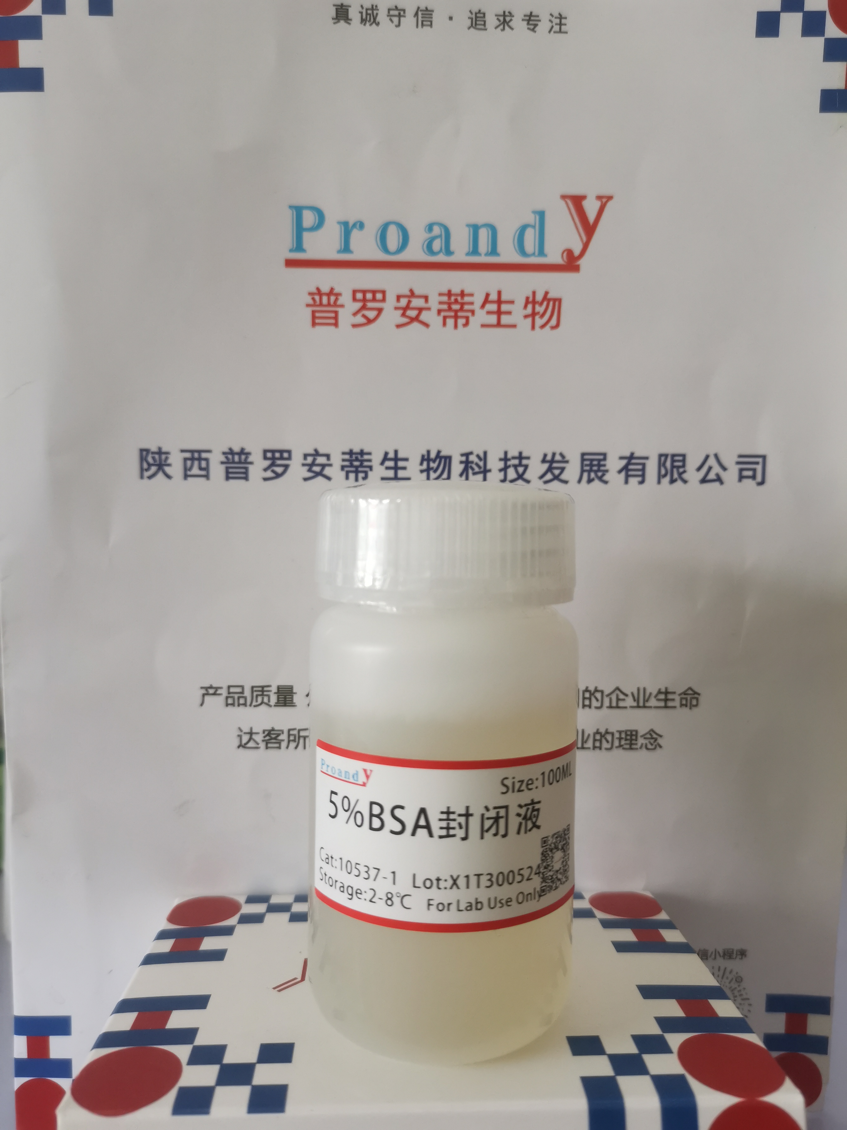 5%BSA封閉液.jpg